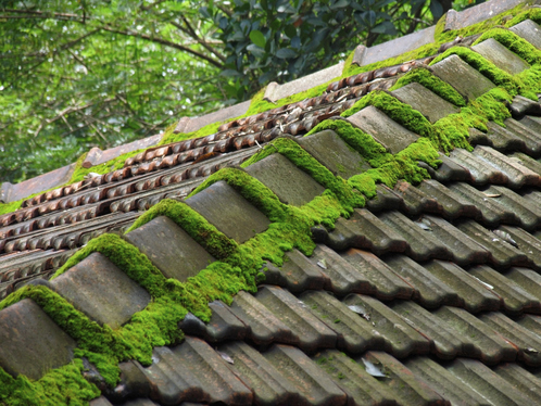 Démoussage de toiture à Saint-Martin-de-Valgalgues