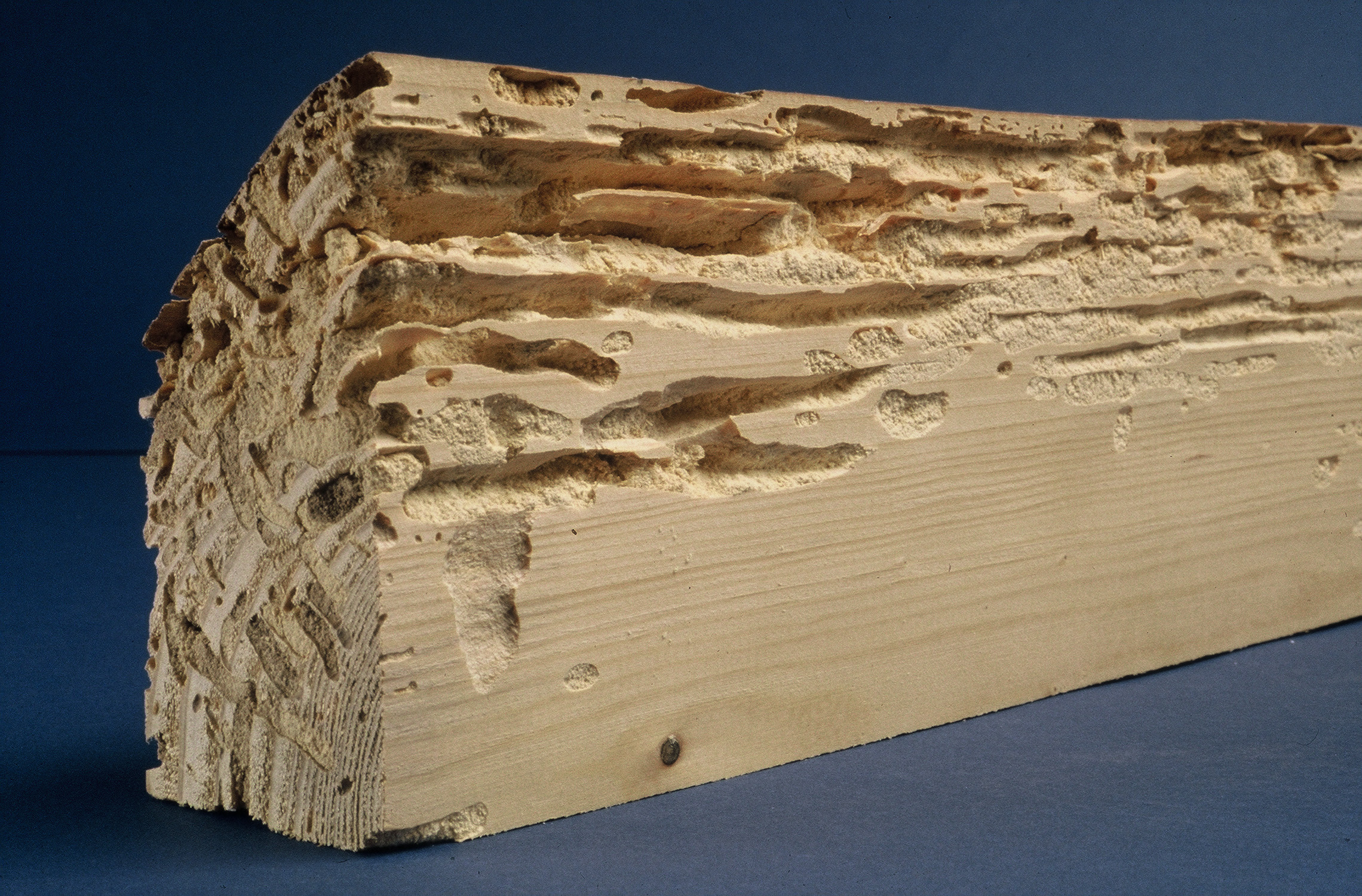 Traitement de charpente, bois dans le Gard